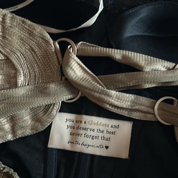 Maria Lucia Hohan Formal Wedding Cocktail Champagne Long Evening Dress. - Picture 5 of 9